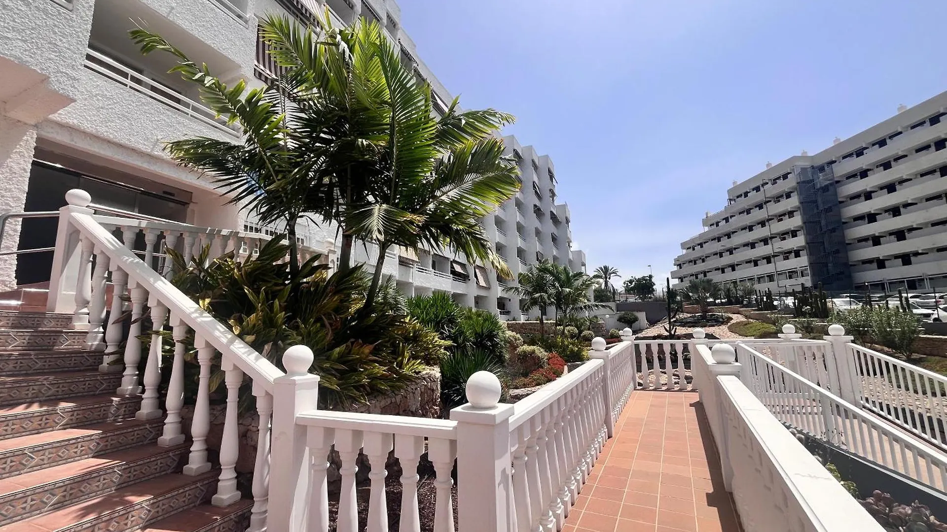 Cactus Apartment Playa Fanabe Spain
